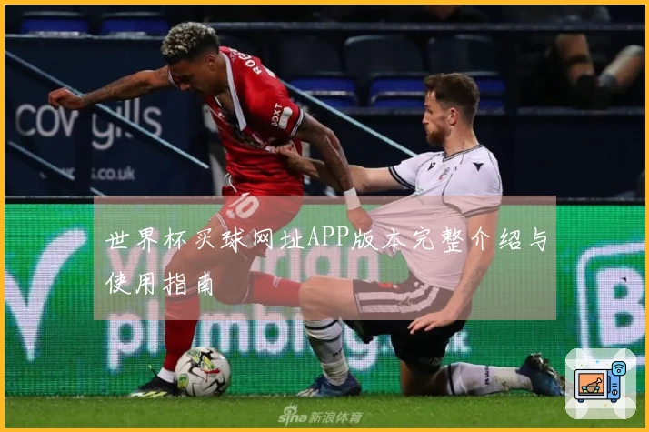 世界杯买球网址APP版本完整介绍与使用指南