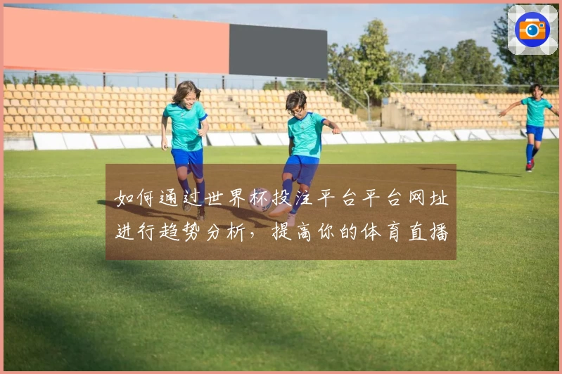 如何通过世界杯投注平台平台网址进行趋势分析，提高你的体育直播体验
