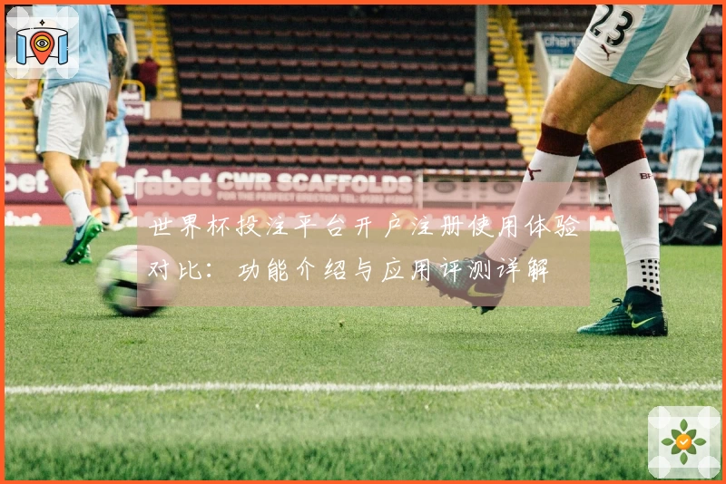 世界杯投注平台开户注册使用体验对比：功能介绍与应用评测详解