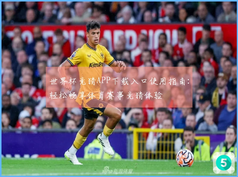 世界杯竞猜APP下载入口使用指南：轻松畅享体育赛事竞猜体验