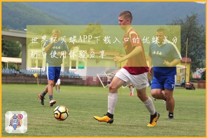 世界杯买球APP下载入口的优缺点分析与使用体验分享