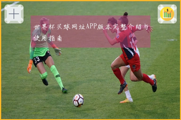 世界杯买球网址APP版本完整介绍与使用指南