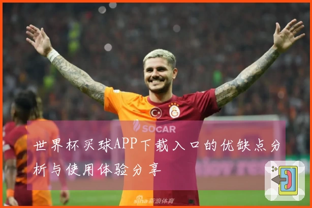世界杯买球APP下载入口的优缺点分析与使用体验分享